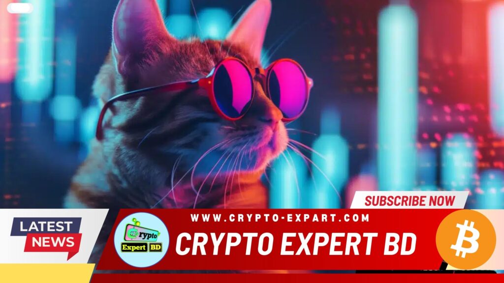 Surge of Cat-Themed Tokens: MEW Leads Meme Coin Charts Amidst Solana Craze