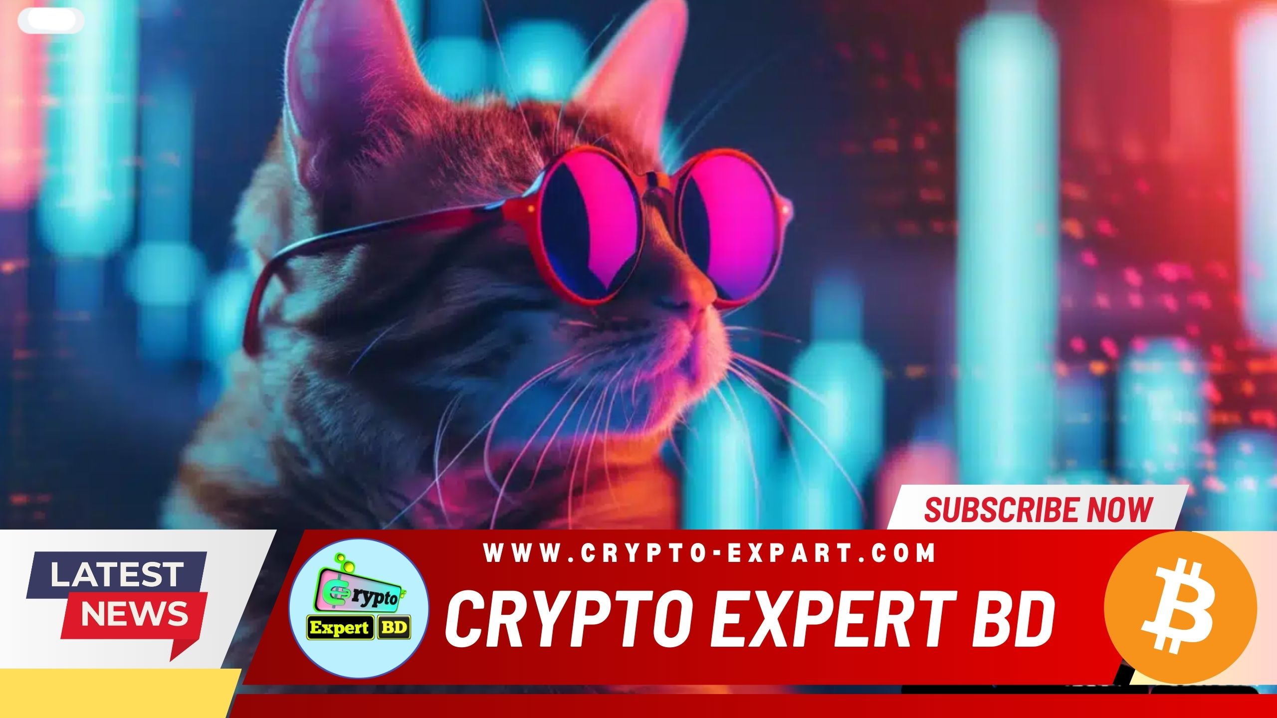 Surge of Cat-Themed Tokens: MEW Leads Meme Coin Charts Amidst Solana Craze