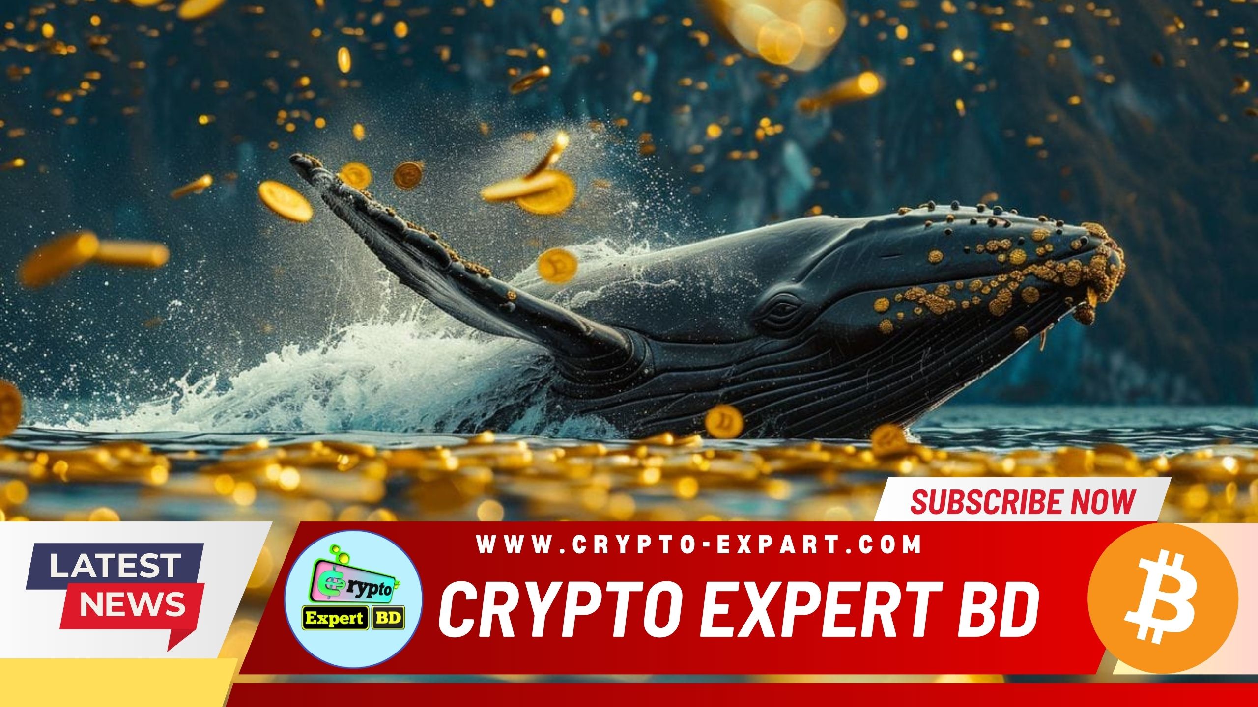 Compound Finance Reaches Agreement with Crypto Whale Humpy and The Golden Boys Amid Governance Dispute