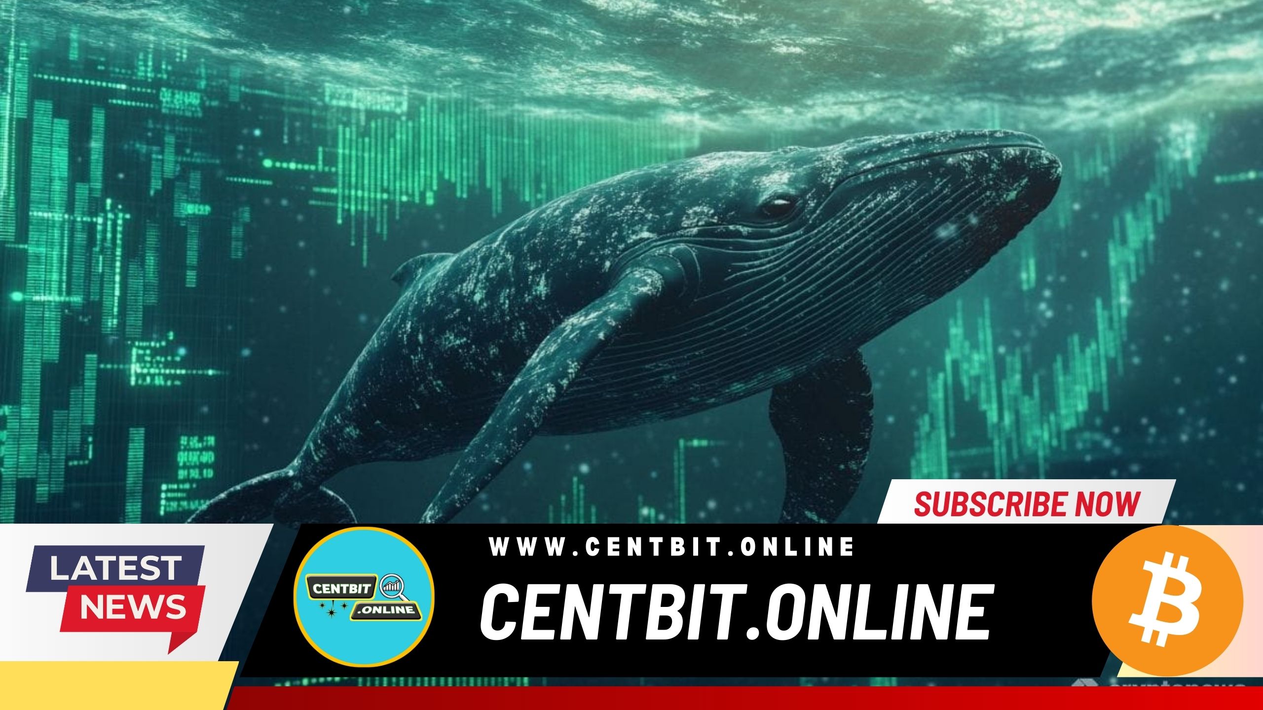 Crypto Whale Loses $32 Million in Phishing Attack Through Inferno Drainer Software