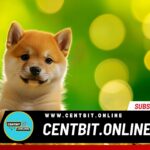 Binance Lists Neiro, Turbo, and Baby Doge Coin Amid Meme Coin Market Activity